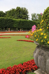 flowerbed of flowers in the park among the trees