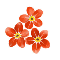 Beautiful little flowers