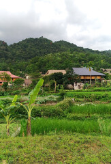 Beautiful view around Ha Giang Village in Vietnam