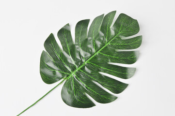 Naklejka na ściany i meble Top view of green monstera plant leaf isolated on a white background.