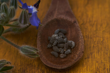 Borago organic  seeds close-up detail in a spoon
