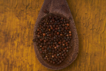 cabbage organic seeds close-up detail in a spoon