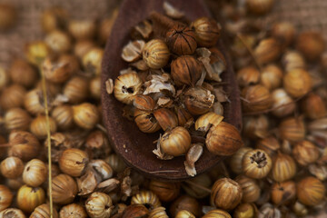 coriander organic seeds close-up detail in a spoon