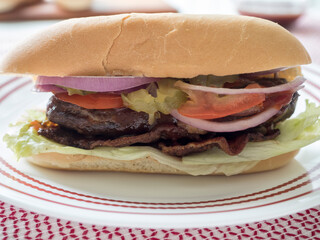 Stuffed Cheeseburger on Hoagie Bun, Straight On, Horiz