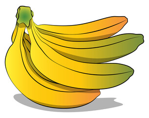 Bunch of bananas isolated on white background. Vector illustration. Comic book, cartoon style art.