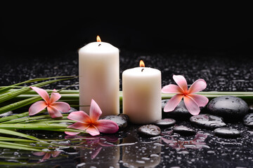 Obraz na płótnie Canvas spa still life of with three pink frangipani and two candle with zen black stones ,green palm wet background 