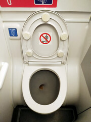 Flush toilet in the lavatory in the aircraft