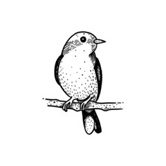 Hand drawn bird perched on a branch