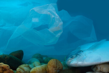 Fototapeta na wymiar Disposal of waste into water sources, such as plastic bags, is non-biodegradable, causing pollution and is harmful to aquatic animals and ecological systems.