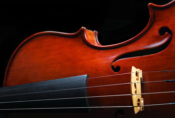 beautiful violin close-up on black background