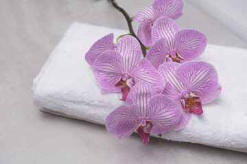 Striped orchid on white towel with copy space-gray background