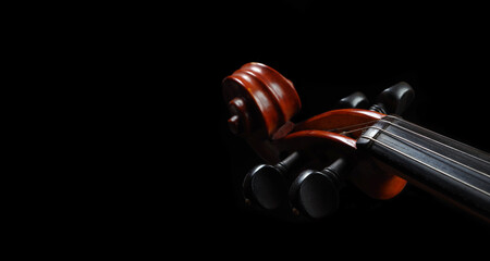 violin neck isolated on black. copy space