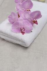 Pink and white orchid flower branch bloom on white towel with copy space
