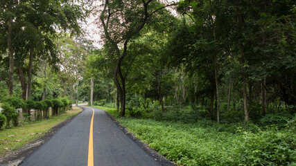 road in the forest at Namtok Sam Lan National Park