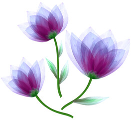 set  watercolor  purple  flowers tulips on  isolated a white background. Close-up. Flowers on the  green stem. Nature.