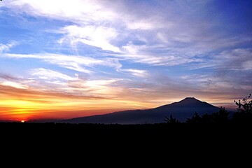 sunset over the field