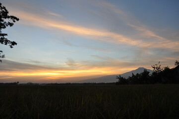 sunset over the field