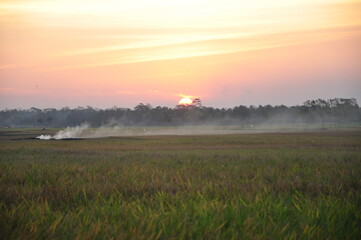 sunset over the field