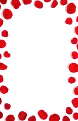 Frame made of red rose petals with a place for an inscription