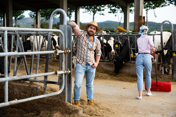 Portrait of confident successful farmer engaged in breeding of milking Holstein cows posing in cowshed