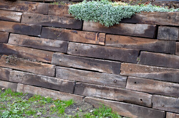 the retaining wall made of wooden sleepers is wooden and forms the edge of the perennial flowerbed....