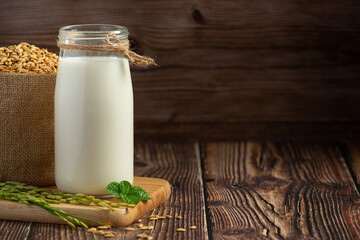 a jug of rice milk with rice plant and rice seed put on wooden floor