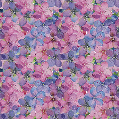 Pink and lilac hydrangea flowers. Watercolor seamless pattern. Lilac and pink hydrangea flowers. Seamless Floral Pattern. Pattern of beautiful garden flowers. Summer pattern for womens clothing, beaut
