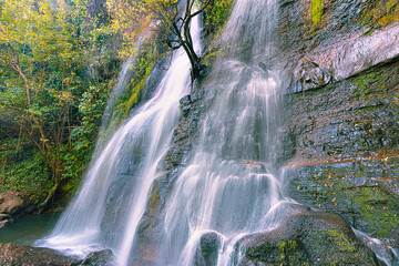CASCADA BOSQUE AGUA 