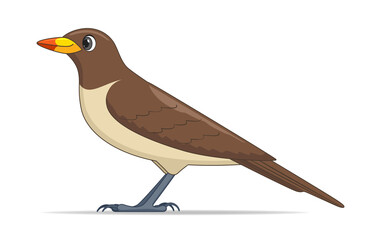 Yellow billed oxpecker bird on a white background