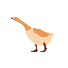 Vector image of a goose. Multi-colored segments. Agriculture. Vector illustration.