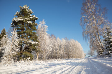 A beautiful, calm winter landscape in the rural area of Latvia, northern Europe. Snow covered nature scenery.