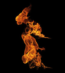 Fire burning flames on a black background
