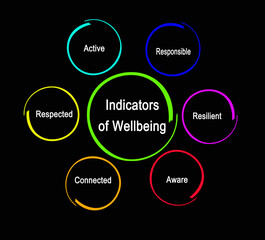Six Indicators of Wellbeing for aged