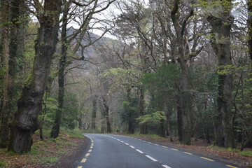 Obraz premium ireland