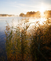 cityscape fog over lake in the morning Gomel