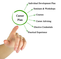 Six Components of .Career Plan