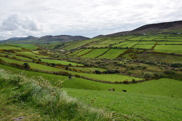 ireland