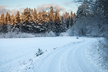 A beautiful, calm winter landscape in the rural area of Latvia, northern Europe. Snow covered nature scenery.