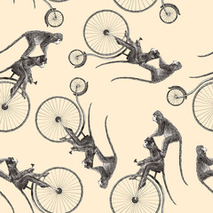 Beautiful stock seamless pattern with cute hand drawn monkey on bike pencil illustrations. © zenina