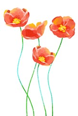 優しいタッチのポピーのイラスト.