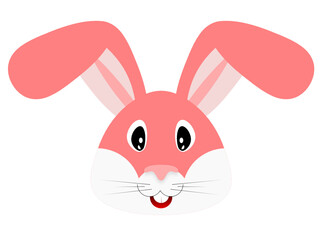 The face of a rabbit