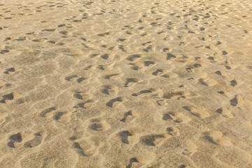Fototapeta na wymiar golden beach sand