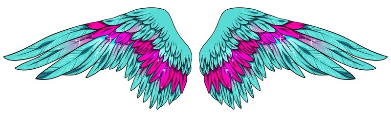 Beautiful bright magic blue magenta vector wings