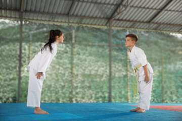 Children in kimono performing ritual bow before karate practice at outdoor gym © New Africa