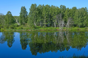 Obraz premium lake in the forest