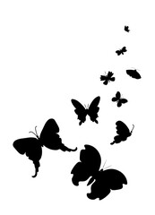 Fototapeta na wymiar Vector composition of butterflies in motion hand drawn.Illustration of flying insects silhouettes in black doodle style.Design for cards,posters,social networks,packaging,stencils,decoration,stickers.