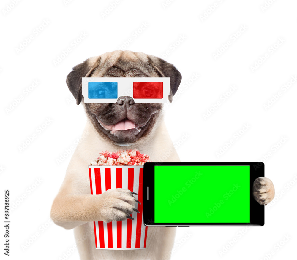 Poster pug puppy wearing 3d glasses holds popcorn basket and smartphone with empty green screen. isolated o