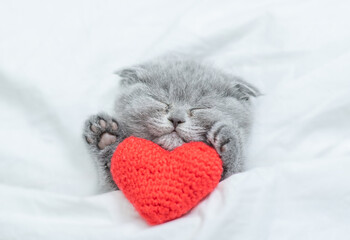 Sleepy kitten lies with red heart on a bed under blanket. Valentines day concept. Top down view © Ermolaev Alexandr