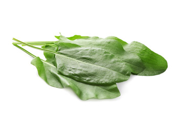 Bunch of fresh green sorrel leaves on white background