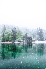 Lake Jasne in Slovenia. Snowy and cold morning in May 2019. Snow landscape of the lake. Snow on top of trees. Popular tourist destination. Slovenia